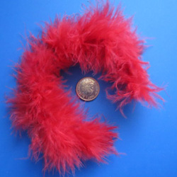 Red Feather Boa